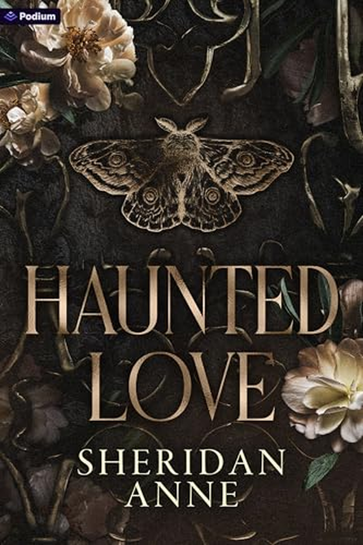 Haunted Love: A Dark Romance