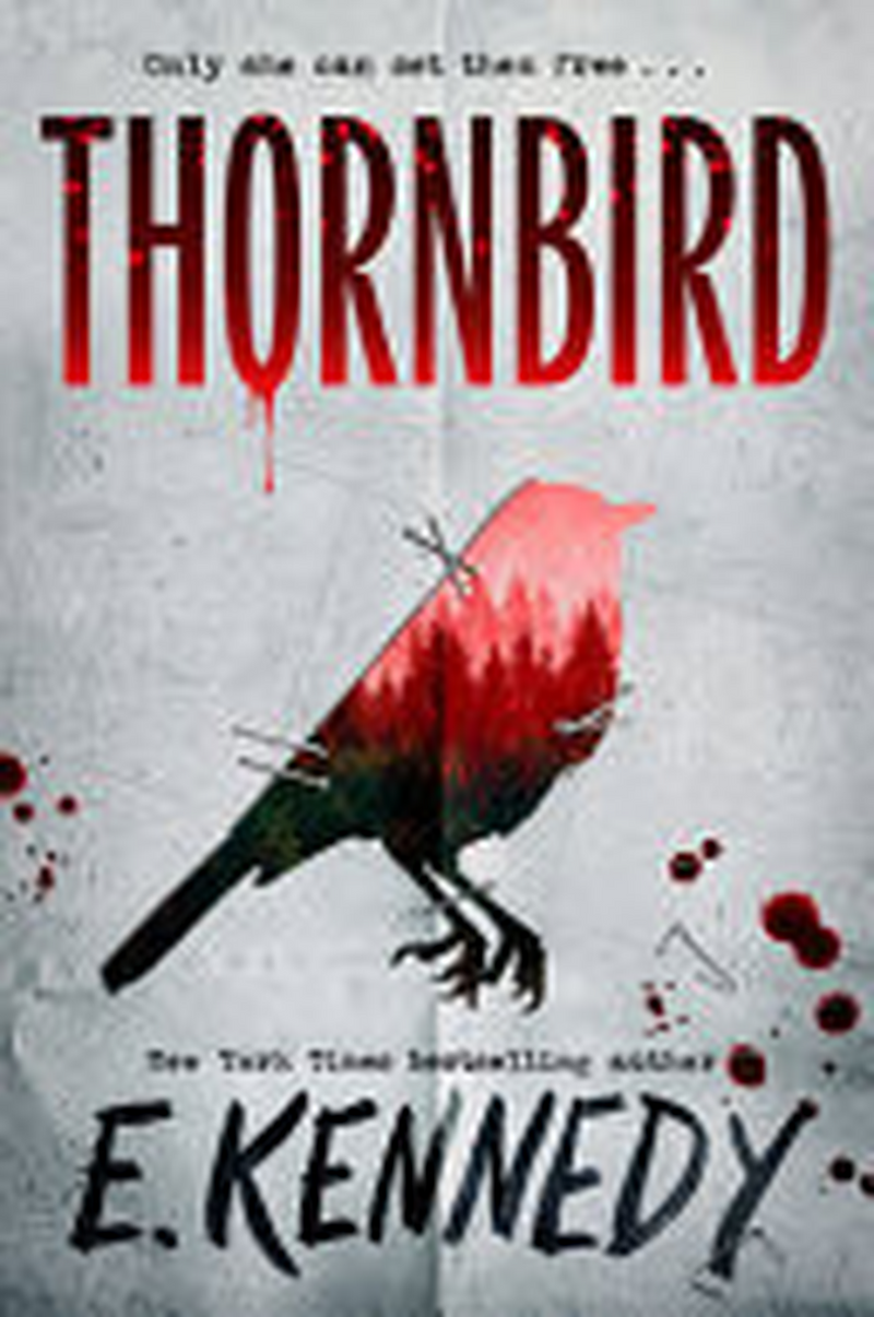 Thornbird_thornbird1 PB